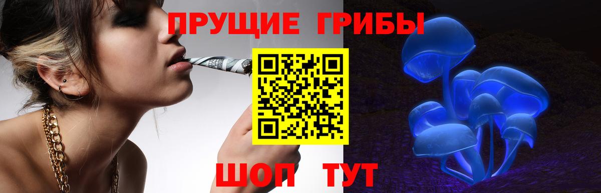 Белореченск  Псилоцибиновые грибы Psilocybe  Вход с VPN 
